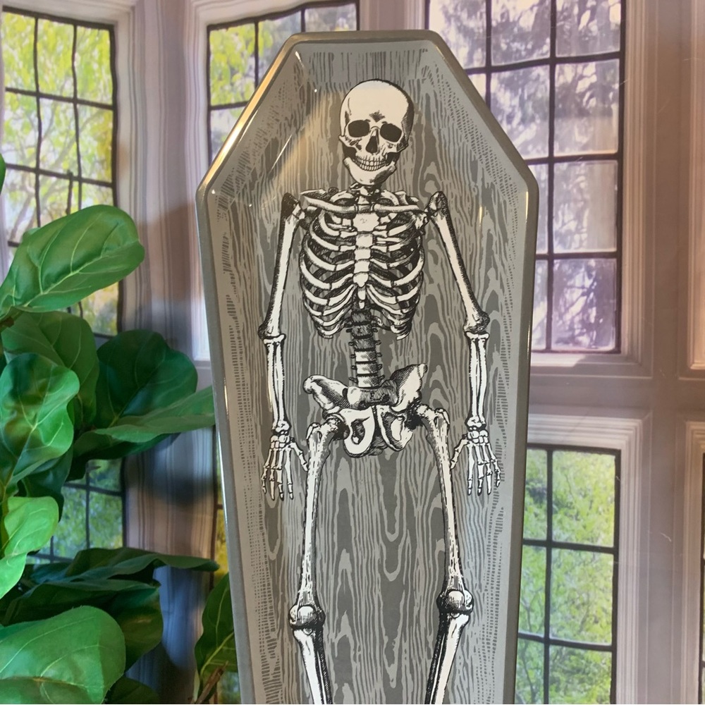 Skeleton Melamine Plate Serving Halloween Party Holiday Spooky 13th & Elm New - Picture 8 of 10